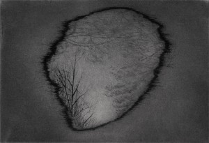 Anita_Hunt_Untitled_III_(void_island_reflection)